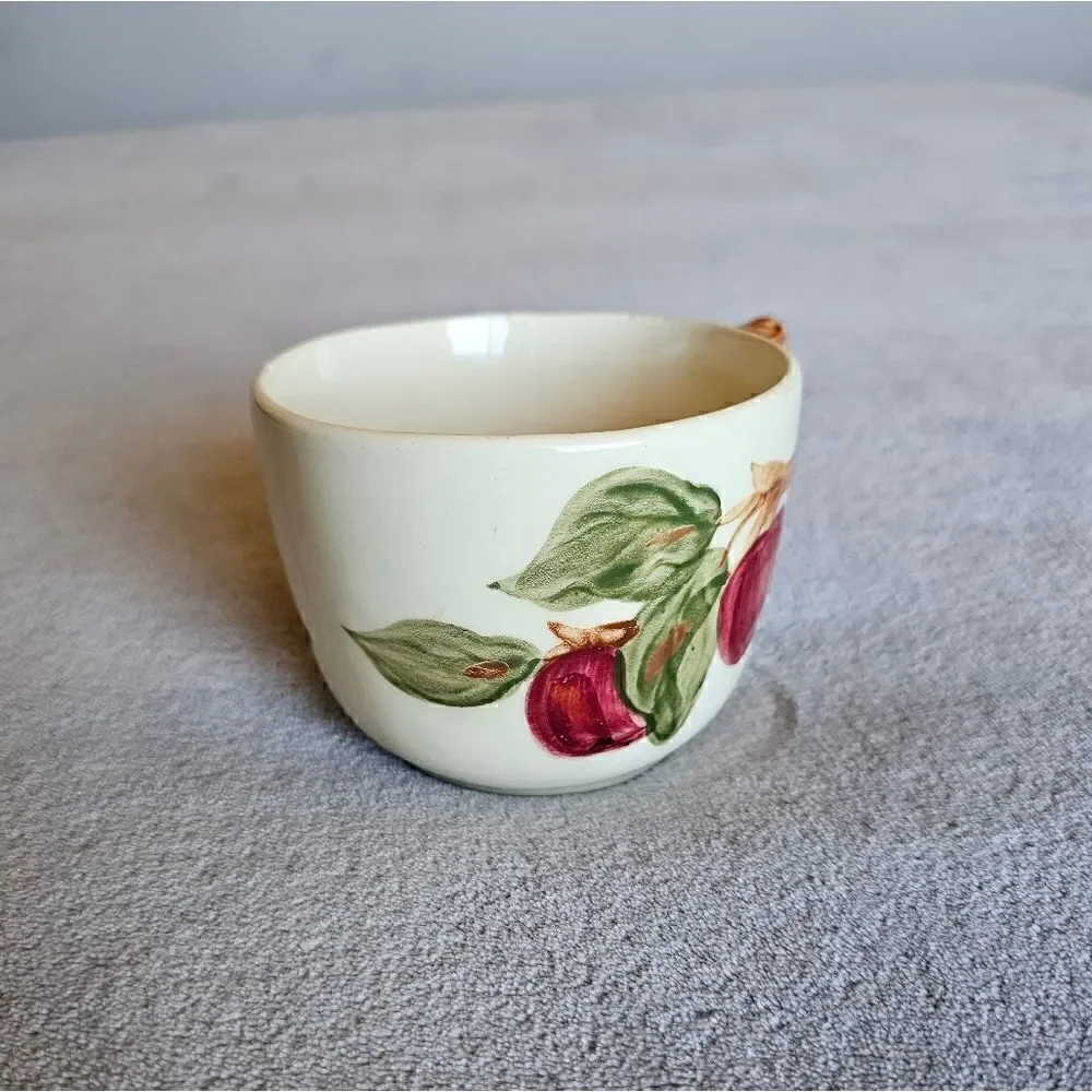 Vintage Franciscan Apple Print Teacup And Saucer Set